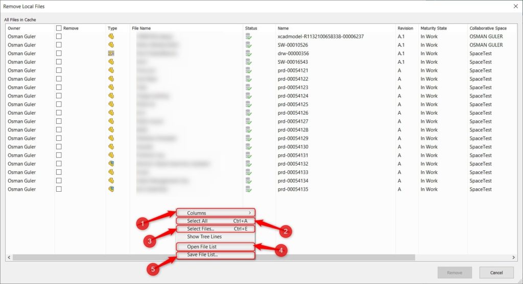 Remove Local Cache Seçenekleri