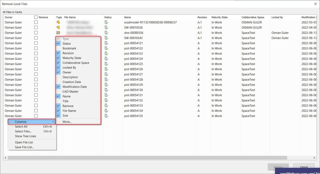 Remove Local Cache Sütunları