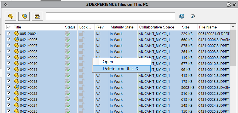 3DEXPERIENCE Files on this PC - Verilerin Silinmesi